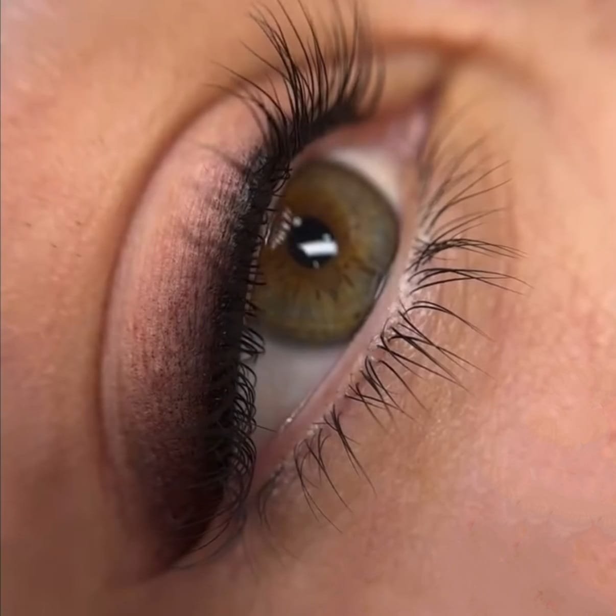 WhatsApp Image 2025-11-11 at 15.31.03